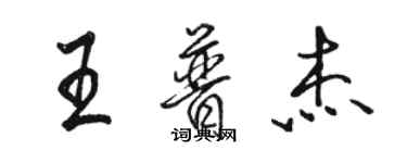 駱恆光王普傑行書個性簽名怎么寫