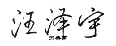 駱恆光汪澤宇行書個性簽名怎么寫