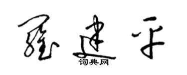 梁錦英羅建平草書個性簽名怎么寫