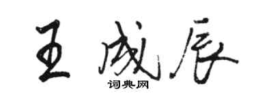 駱恆光王成辰行書個性簽名怎么寫