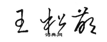 駱恆光王松萌草書個性簽名怎么寫