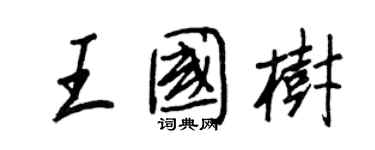 王正良王國樹行書個性簽名怎么寫