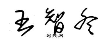 朱錫榮王智冬草書個性簽名怎么寫