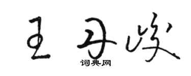 駱恆光王丹峻草書個性簽名怎么寫