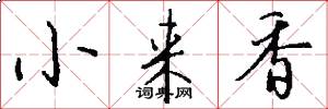 小來香怎么寫好看