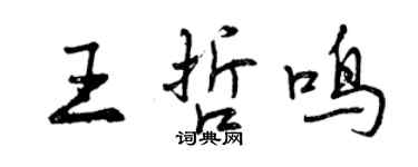 曾慶福王哲鳴行書個性簽名怎么寫