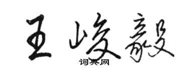 駱恆光王峻毅行書個性簽名怎么寫