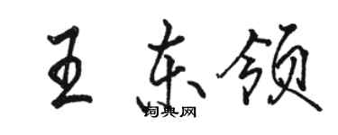 駱恆光王東領行書個性簽名怎么寫