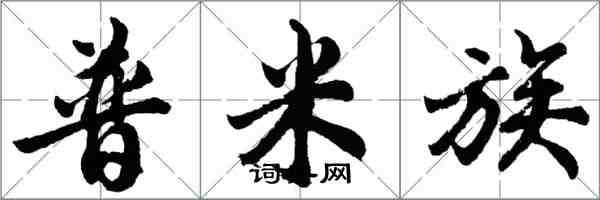 胡問遂普米族行書怎么寫