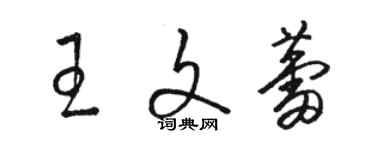 駱恆光王文蕾草書個性簽名怎么寫