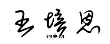 朱錫榮王培恩草書個性簽名怎么寫