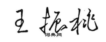 駱恆光王振桃草書個性簽名怎么寫