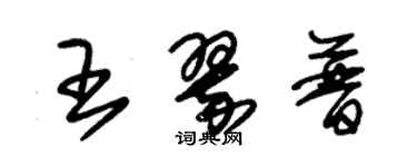 朱錫榮王翠普草書個性簽名怎么寫