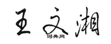 駱恆光王文湘行書個性簽名怎么寫