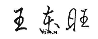 駱恆光王東旺行書個性簽名怎么寫