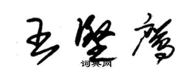 朱錫榮王堅鷹草書個性簽名怎么寫