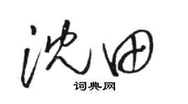 駱恆光沈田草書個性簽名怎么寫