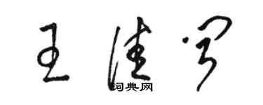 駱恆光王佳聞草書個性簽名怎么寫