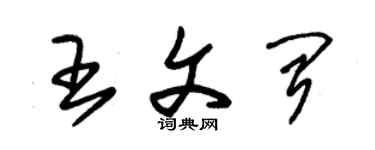 朱錫榮王文聞草書個性簽名怎么寫