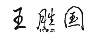 駱恆光王勝國行書個性簽名怎么寫
