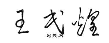 駱恆光王民煌草書個性簽名怎么寫