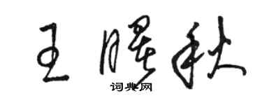 駱恆光王曙秋草書個性簽名怎么寫