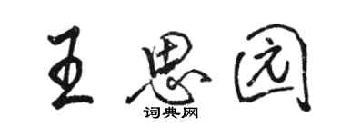 駱恆光王思園行書個性簽名怎么寫