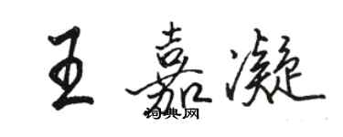 駱恆光王嘉凝行書個性簽名怎么寫