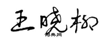 曾慶福王曉柳草書個性簽名怎么寫