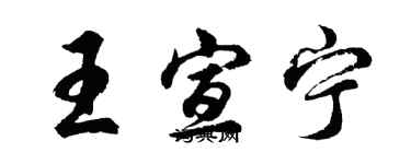 胡問遂王宣寧行書個性簽名怎么寫