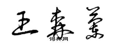 曾慶福王森蘭草書個性簽名怎么寫