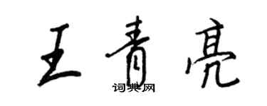 王正良王青亮行書個性簽名怎么寫