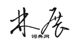 駱恆光林展草書個性簽名怎么寫