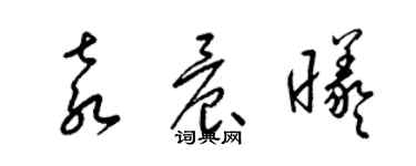 梁錦英袁晨曦草書個性簽名怎么寫