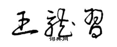 曾慶福王龍習草書個性簽名怎么寫