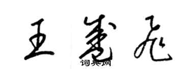 梁錦英王盛飛草書個性簽名怎么寫