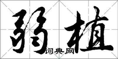 胡問遂弱植行書怎么寫