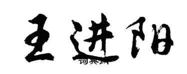 胡問遂王進陽行書個性簽名怎么寫