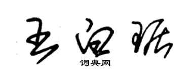 朱錫榮王白琚草書個性簽名怎么寫