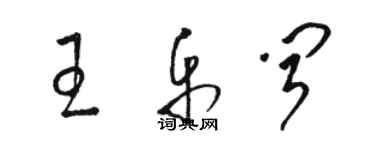 駱恆光王樂聞草書個性簽名怎么寫