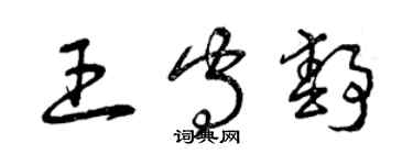 曾慶福王守靜草書個性簽名怎么寫