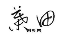 駱恆光葉田草書個性簽名怎么寫