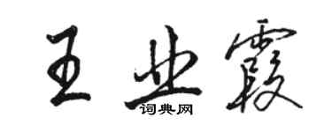 駱恆光王業霞行書個性簽名怎么寫