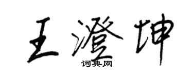 王正良王澄坤行書個性簽名怎么寫