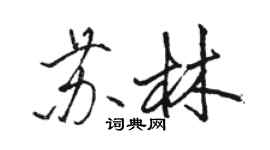 駱恆光蘇林行書個性簽名怎么寫