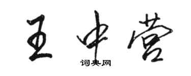 駱恆光王中營行書個性簽名怎么寫