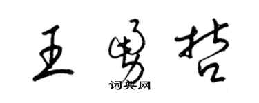 梁錦英王勇哲草書個性簽名怎么寫
