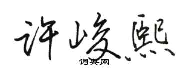 駱恆光許峻熙行書個性簽名怎么寫