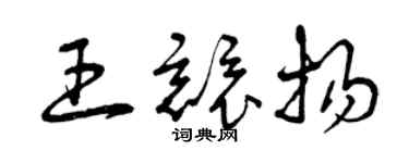 曾慶福王競揚草書個性簽名怎么寫