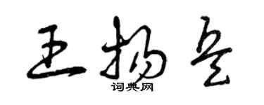 曾慶福王揚兵草書個性簽名怎么寫
